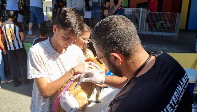 Ribeirão Pires promove vacinação antirrábica para cães e gatos no Festival do Chocolate