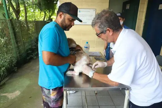 Diadema terá vacinação antirrábica na próxima semana