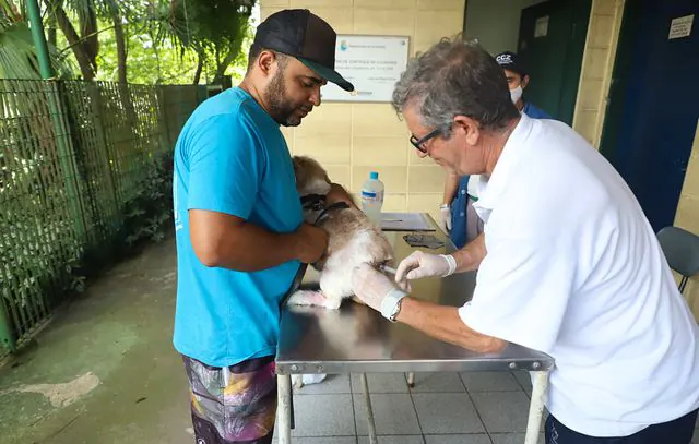 Diadema terá vacinação antirrábica na próxima semana