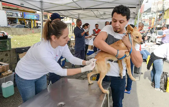 Prefeitura de São Bernardo imuniza 70 animais contra raiva