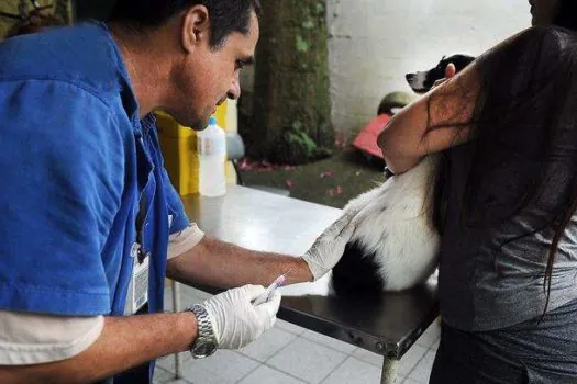 Diadema vacina cães e gatos contra raiva na última semana de agosto