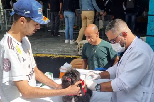 Vacinação antirrábica em Ribeirão Pires acontecerá todo último sábado do mês