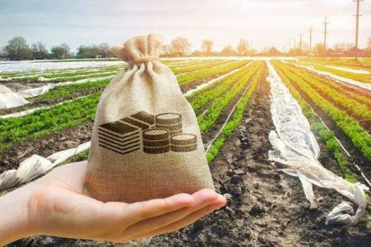 LCA e CPR seguem aquecidas no financiamento privado da agricultura