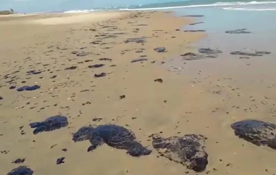 200 toneladas de óleo foram recolhidas nas praias do Nordeste