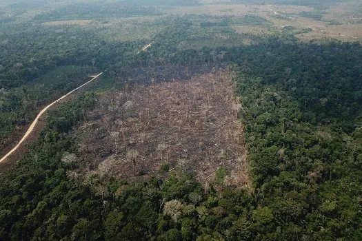 Pastagem com manejo e área agrícola avançam sobre vegetação nativa