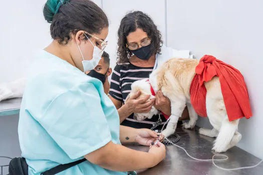 Prefeitura de SP anuncia construção de mais um hospital veterinário público na Zona Leste