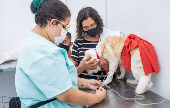 Prefeitura de SP anuncia construção de mais um hospital veterinário público na Zona Leste