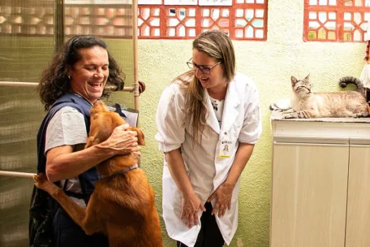 São Caetano terá veterinário no Saúde da Família