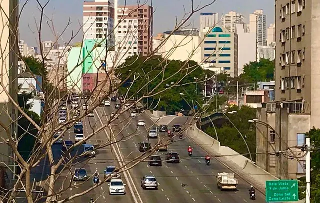 Bonde do elevado: quadrilha ataca motoristas em viaduto da Bela Vista; dois são presos