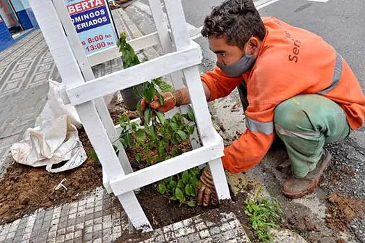 Alameda Vieira de Carvalho, em Santo André, recebe plantio de 35 árvores