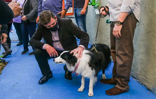 Prefeitura de São Bernardo lança programa Viela Pet Parque no Rudge Ramos