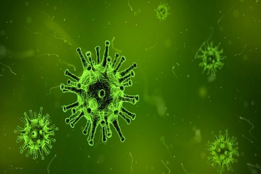 Covid-19: Butantan detecta em SP nova variante derivada da Ômicron