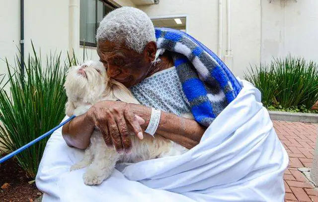 São Bernardo inova no cuidado humanizado com visita de pet no Hospital Anchieta