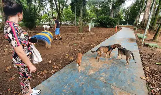 Equipe ambiental de Ribeirão Pires visita Santos para conhecer infraestrutura pet