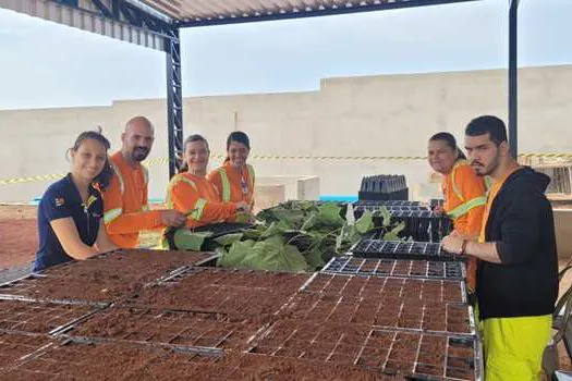 Concessionárias mantêm viveiros de mudas para compensações ambientais da execução de obras