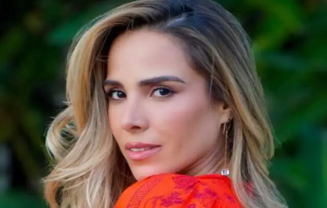 Wanessa Camargo é chamada de ‘capinadora do pop’ e diz que fama é justa