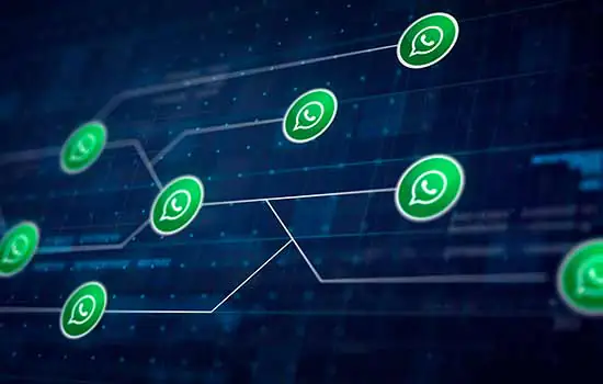 WhatsApp Business: conheça o WhatsApp para empresas