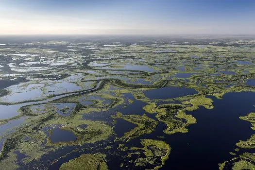 WWF-Brasil alerta sobre riscos à maior área úmida do país