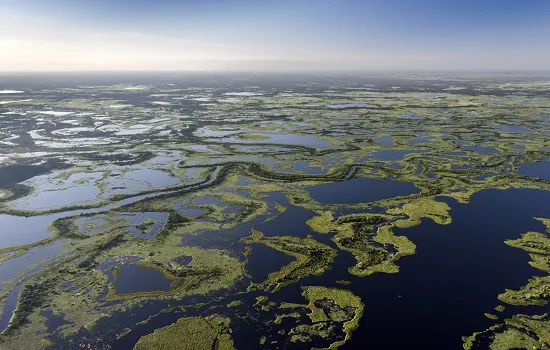 WWF-Brasil alerta sobre riscos à maior área úmida do país