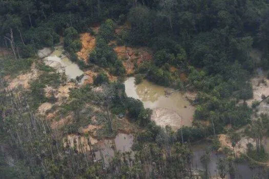 Yanomamis alertam para volta de garimpo e aumento de malária em terra indígena