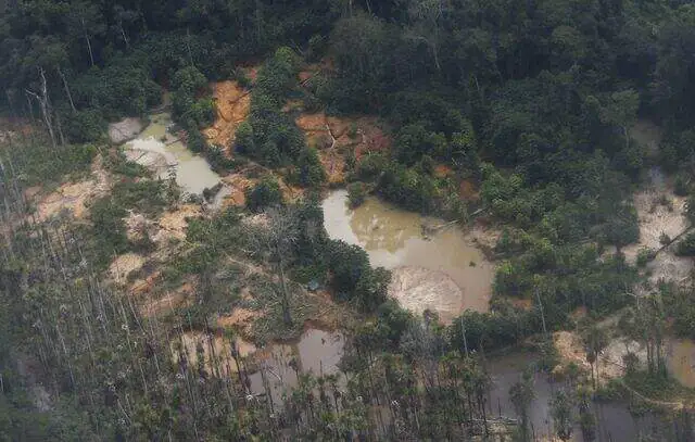 Yanomamis alertam para volta de garimpo e aumento de malária em terra indígena