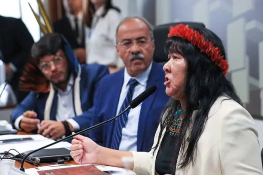 Presidenta da Funai elege medidas urgentes para terra Yanomami