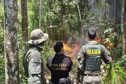 Corpo é achado em área Yanomami; mulher estrangulada é a 14ª morte em uma semana