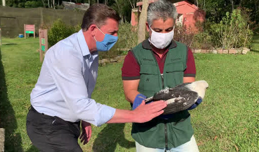 Zoo de São Bernardo resgata 577 animais vítimas de maus-tratos e traficantes em 2020