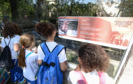 Zoológico de São Bernardo resgata 480 animais debilitados em 2019