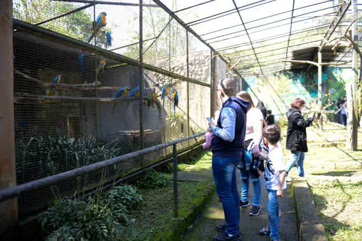 Zoológico de São Bernardo ganha novo morador com nascimento de filhote de lontra