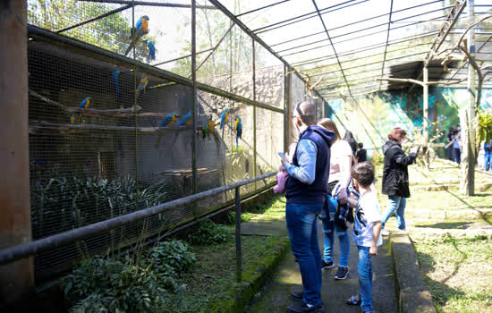 O Zoo Municipal fica nas dependências do Parque Estoril (rua Portugal