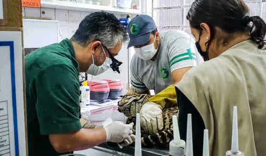 Zoológico de São Bernardo reforça cuidado com animais durante a pandemia