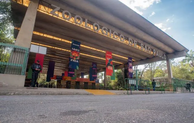 Férias no Zoo: parceria com empresa de turismo amplia linhas de fretado para visitantes