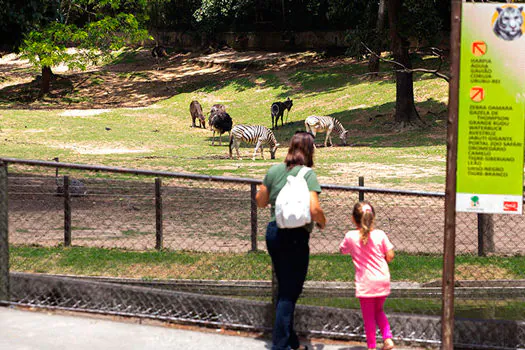 Assembleia de SP aprova projeto de lei que pretende privatizar o Zoológico